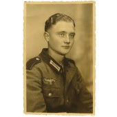 Retrato de estudio Felix Prozell Gebirgs Panzerjager Kompanie 16, Regiment 100